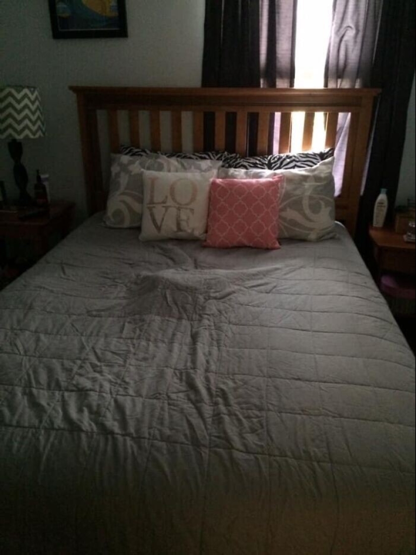 Find Me if You can: 30 Dogs who have mastered the Art of Disguise Find Me if You can: 30 Dogs who have mastered the Art of Disguise