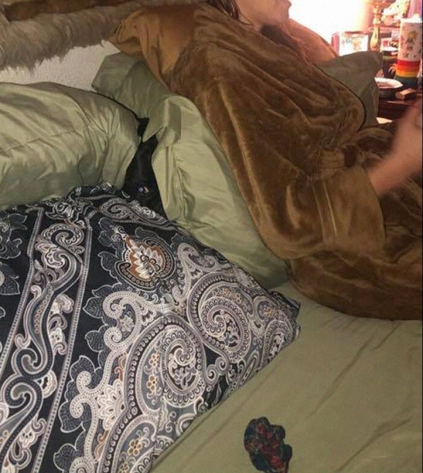 Find Me if You can: 30 Dogs who have mastered the Art of Disguise Find Me if You can: 30 Dogs who have mastered the Art of Disguise