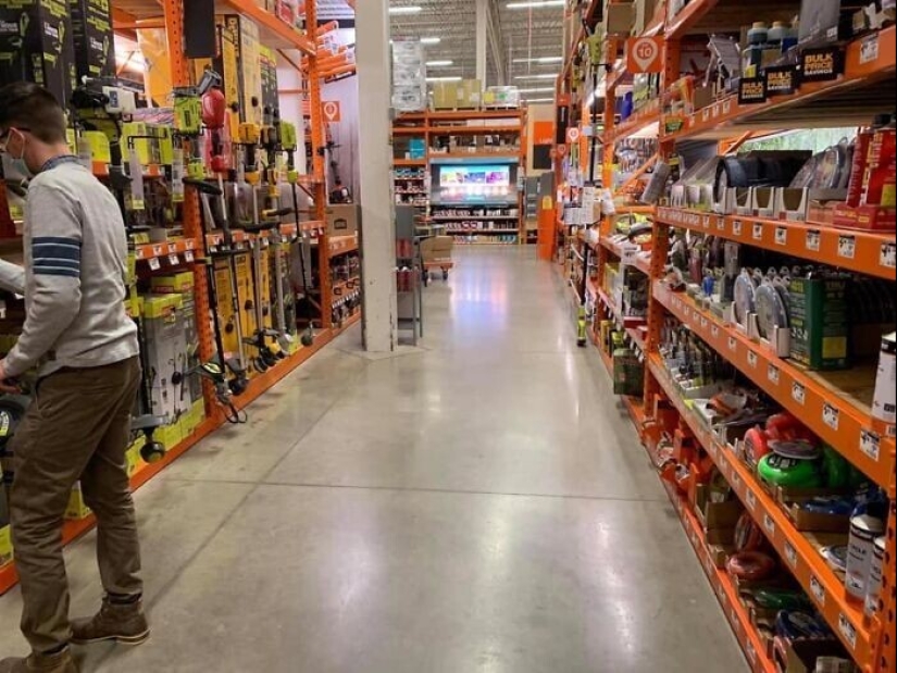 Find Me if You can: 30 Dogs who have mastered the Art of Disguise Find Me if You can: 30 Dogs who have mastered the Art of Disguise