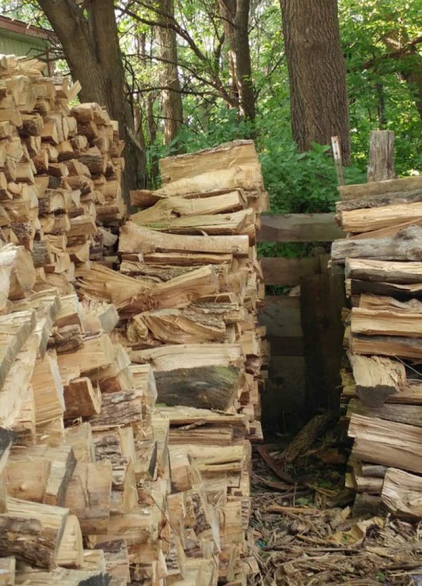 Find the cat: crafty baleen-striped, which are impossible to find in the photo