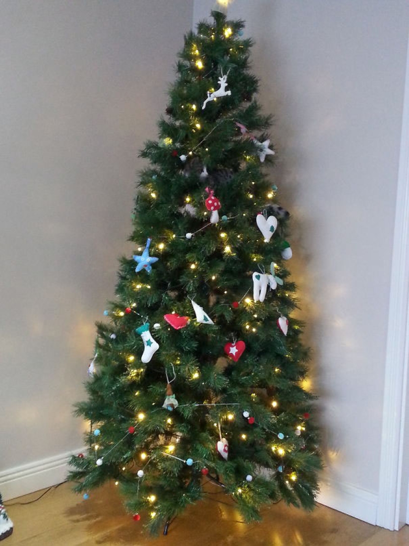 Find the cat: crafty baleen-striped, which are impossible to find in the photo