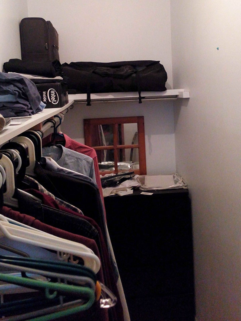 Find the cat: crafty baleen-striped, which are impossible to find in the photo