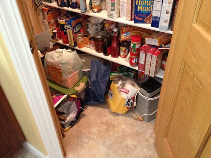 Find the cat: crafty baleen-striped, which are impossible to find in the photo