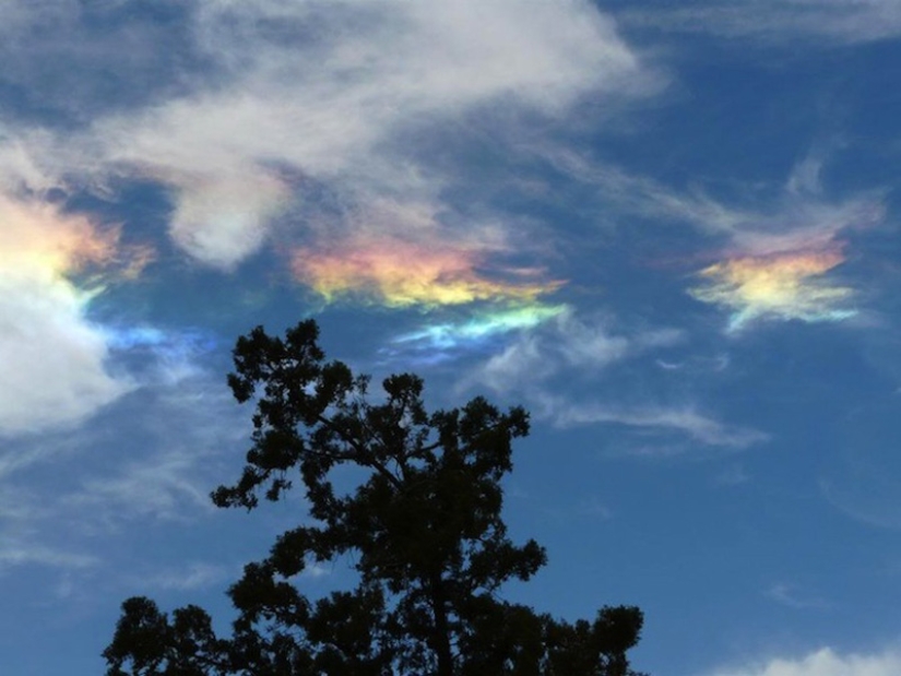 Fire Rainbow