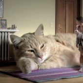 Five countries without central heating