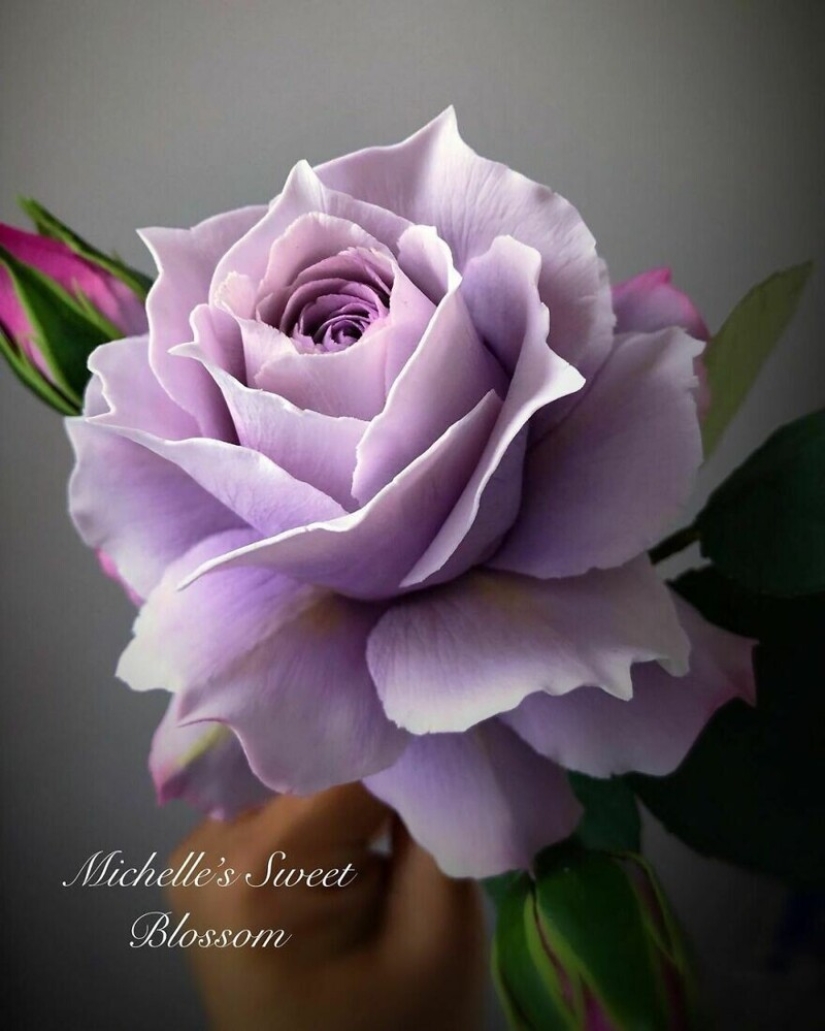 Flores de azúcar: 30 de la impresionante obra de Michelle Nguyen