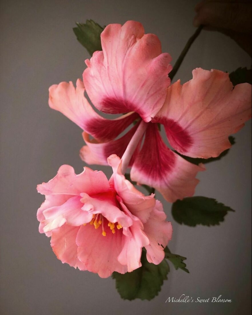 Flores de azúcar: 30 de la impresionante obra de Michelle Nguyen