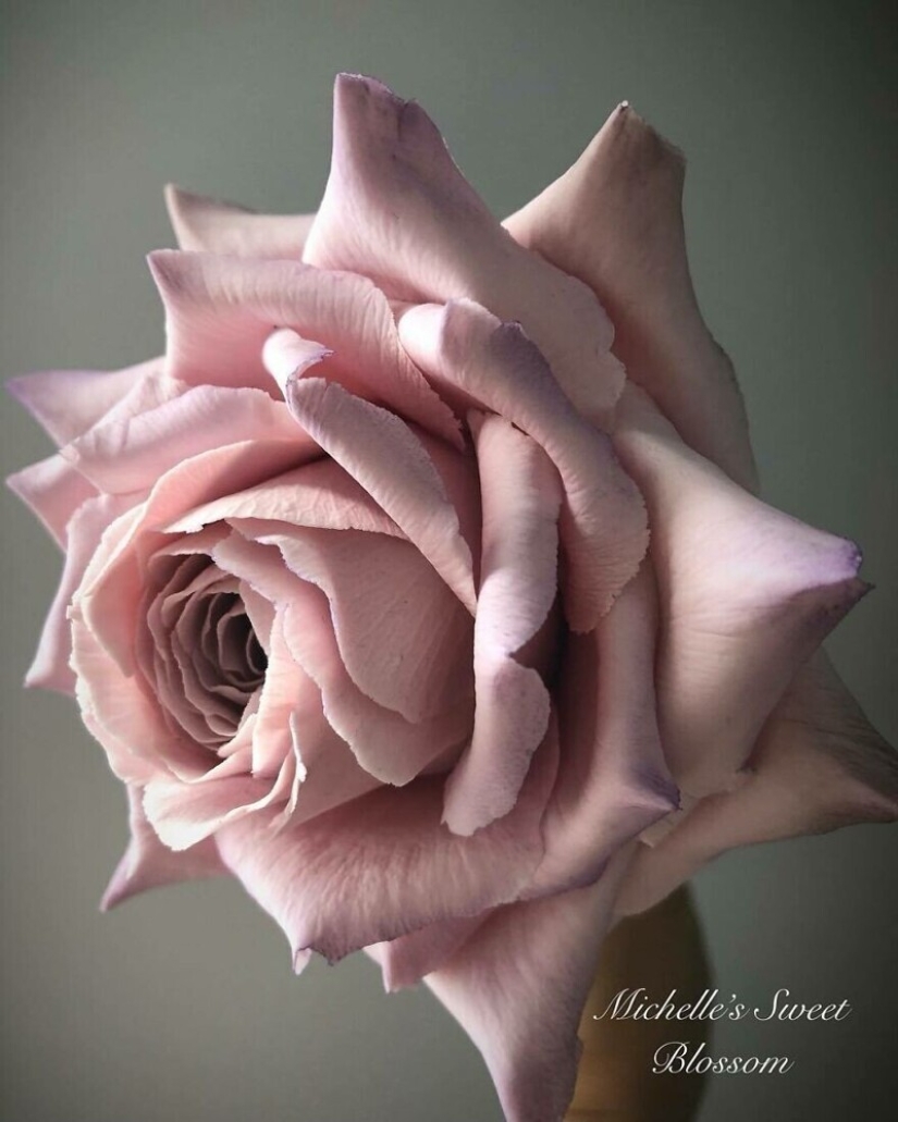 Flores de azúcar: 30 de la impresionante obra de Michelle Nguyen
