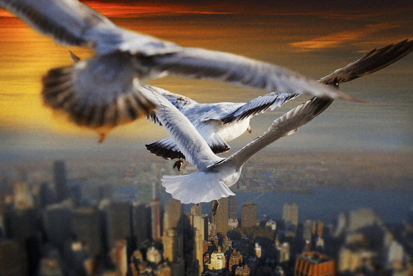 Flotando por encima de la tierra, como un pájaro