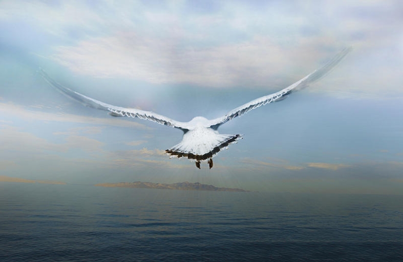 Flotando por encima de la tierra, como un pájaro