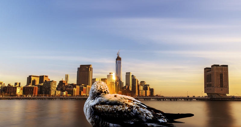Flotando por encima de la tierra, como un pájaro