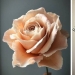 Flowers out of sugar: 30 stunning work from Michelle Nguyen Flowers out of sugar: 30 stunning work from Michelle Nguyen