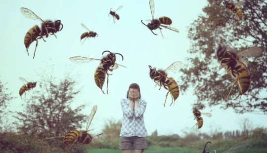 "For no particular reason?": why do wasps hate people in summer "For no particular reason?": why do wasps hate people in summer