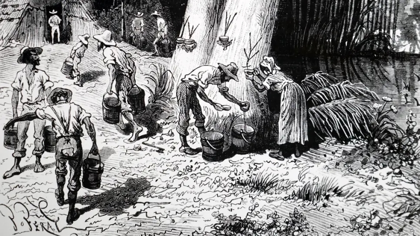 Fordlandia: cómo el fabricante de automóviles Henry Ford construyó una “ciudad de la felicidad” en la jungla