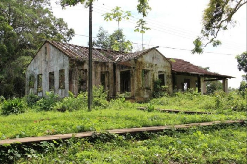 Fordlandia: how automaker Henry Ford built a “city of happiness” in the jungle Fordlandia: how automaker Henry Ford built a “city of happiness” in the jungle