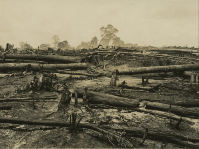 Fordlandia: how automaker Henry Ford built a “city of happiness” in the jungle Fordlandia: how automaker Henry Ford built a “city of happiness” in the jungle