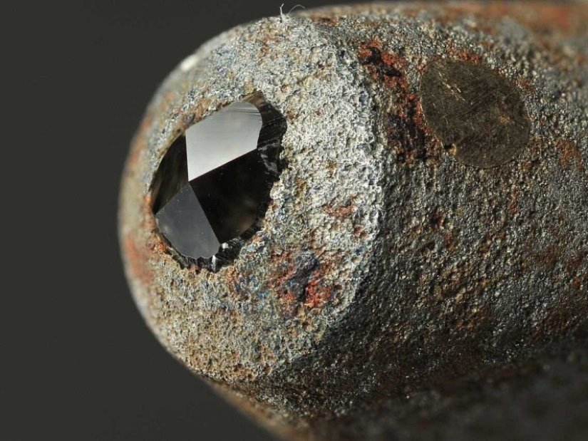 Forget what you were taught in school: facts that have ceased to be true Forget what you were taught in school: facts that have ceased to be true