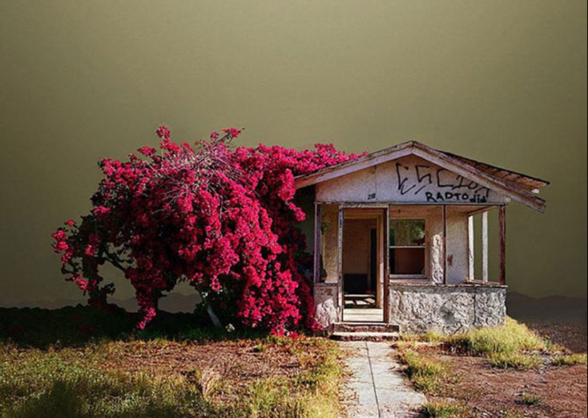 Forgotten corners in the California desert Forgotten corners in the California desert