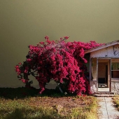 Forgotten corners in the California desert