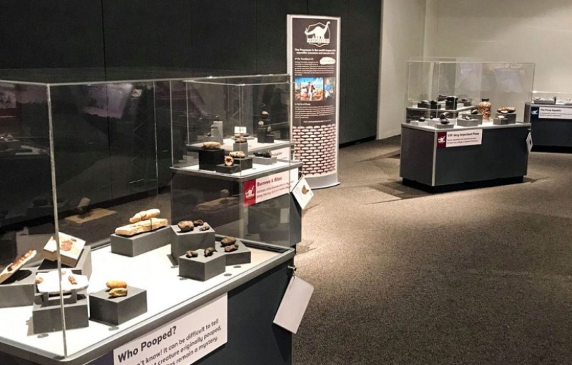 Fossil stool researchers: who are they and why our future is in their hands Fossil stool researchers: who are they and why our future is in their hands