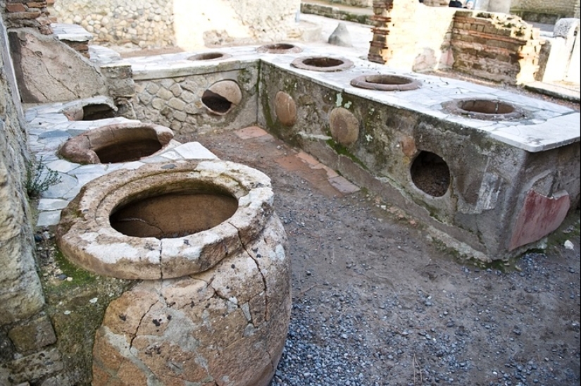 Fossil stool researchers: who are they and why our future is in their hands Fossil stool researchers: who are they and why our future is in their hands