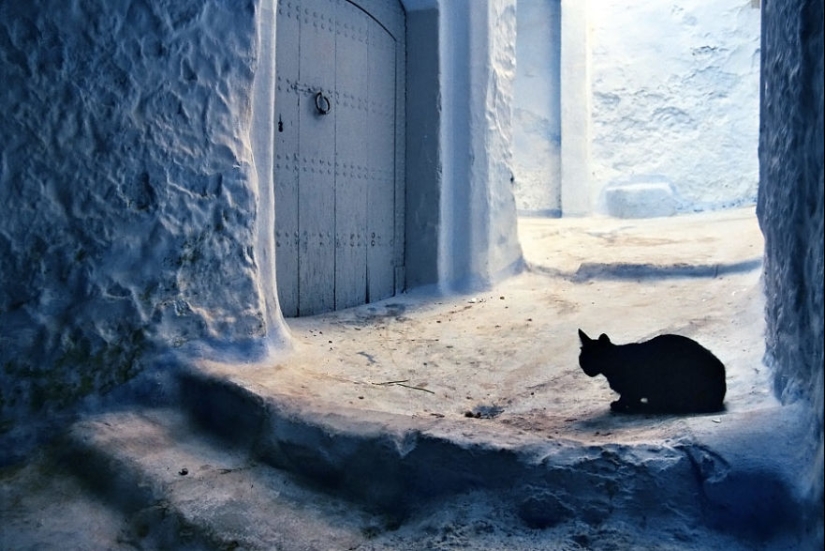 Fotógrafo de 10 años, viajó a través de los lugares más bellos para capturar la esencia de lo humano