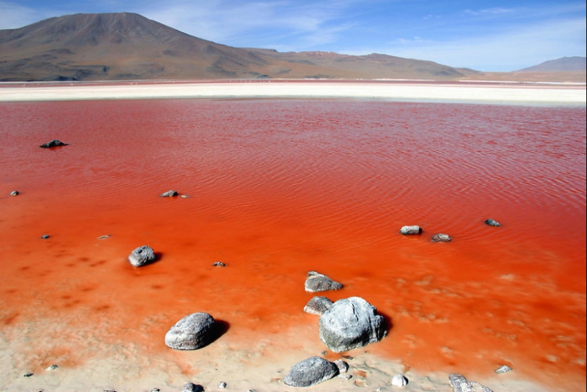 Fotógrafo de 10 años, viajó a través de los lugares más bellos para capturar la esencia de lo humano