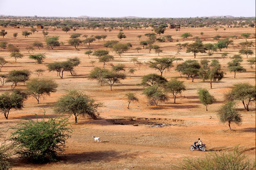 Fotógrafo de 10 años, viajó a través de los lugares más bellos para capturar la esencia de lo humano
