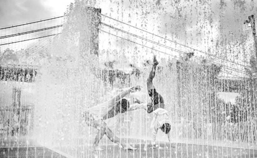 Fotógrafo de documentos de la belleza de nueva York