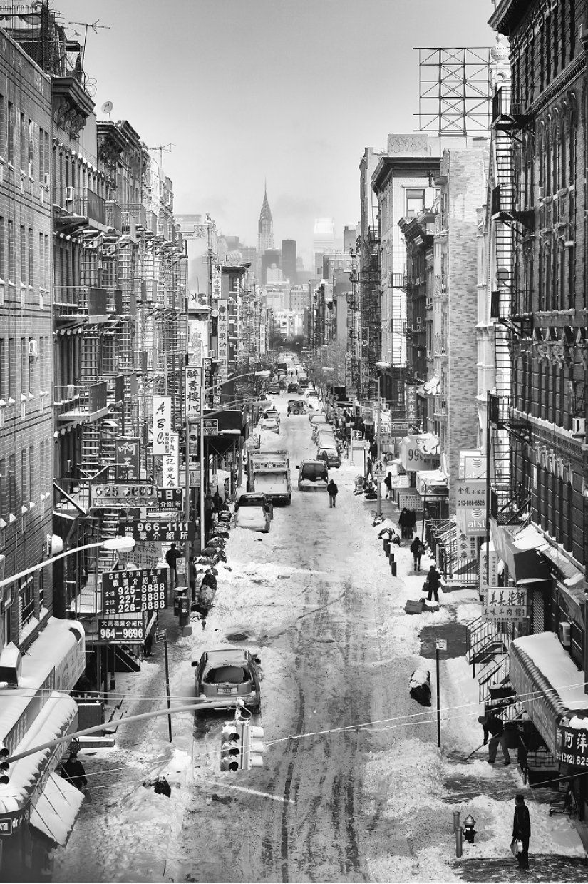 Fotógrafo de documentos de la belleza de nueva York