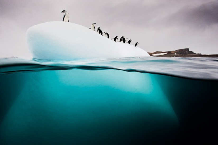 Fotografías de David Dubile: el mundo en la superficie y bajo el agua