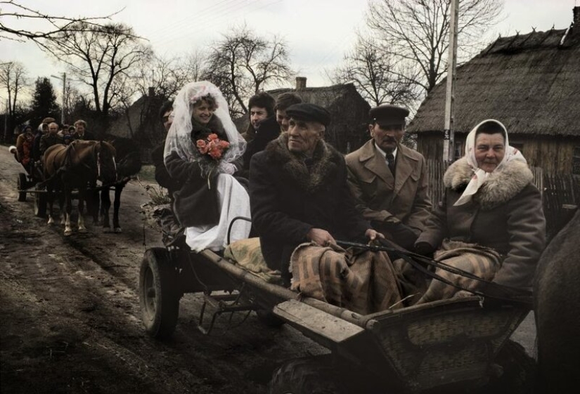 Fotografías en color de la Primera Guerra Mundial que fueron tomadas como si ayer