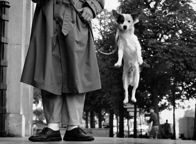Fotos cálidas y divertidas de Elliot Erwitt