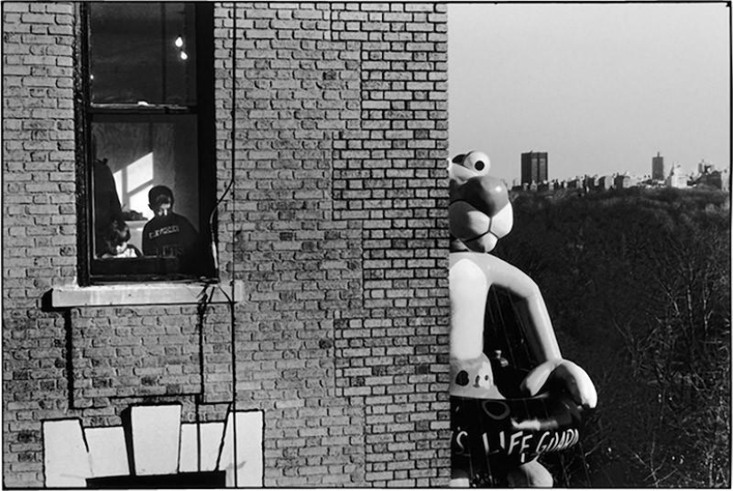 Fotos cálidas y divertidas de Elliot Erwitt