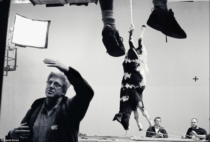 Fotos sinceras de los sets de películas famosas de Hollywood Fotos sinceras de los sets de películas famosas de Hollywood