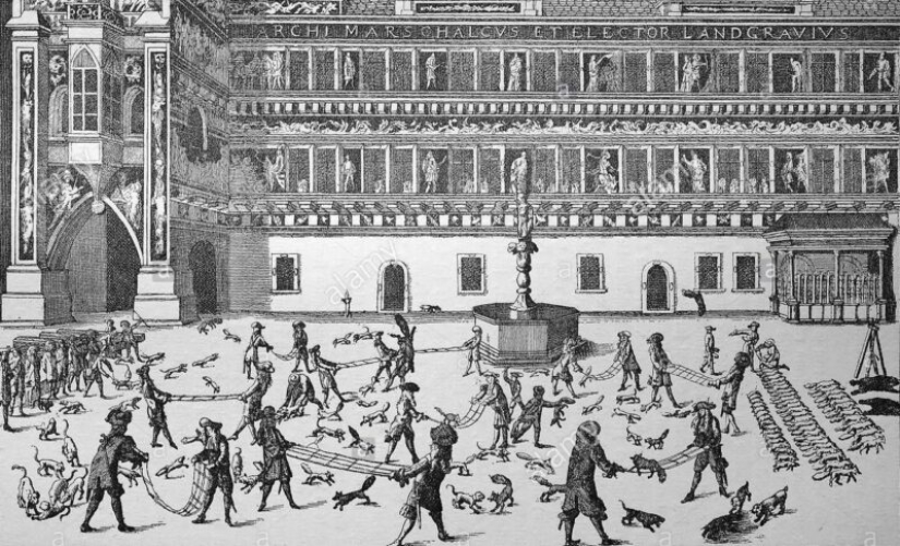 Fox throwing is a cruel German sport, fortunately completely forgotten