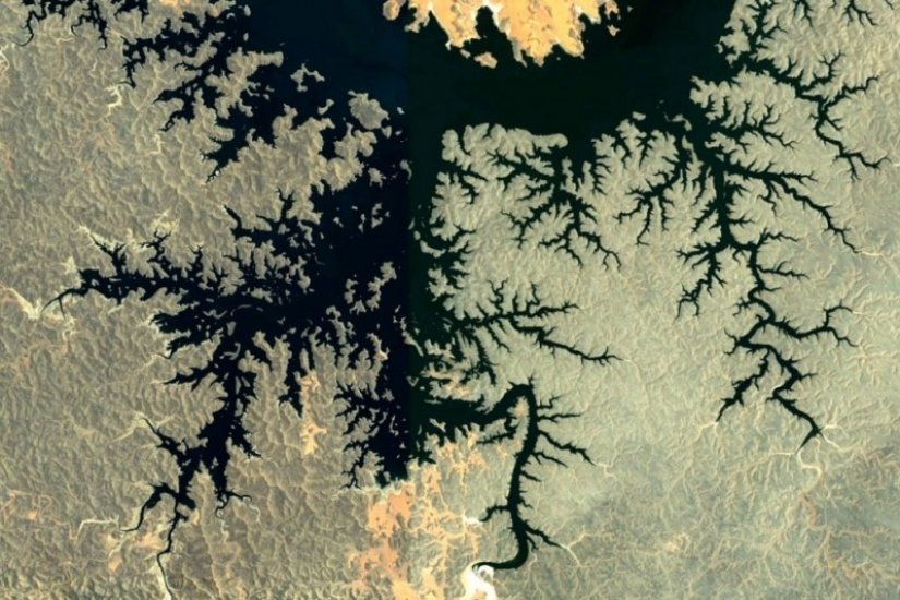 Fractal patterns on the surface of the Earth
