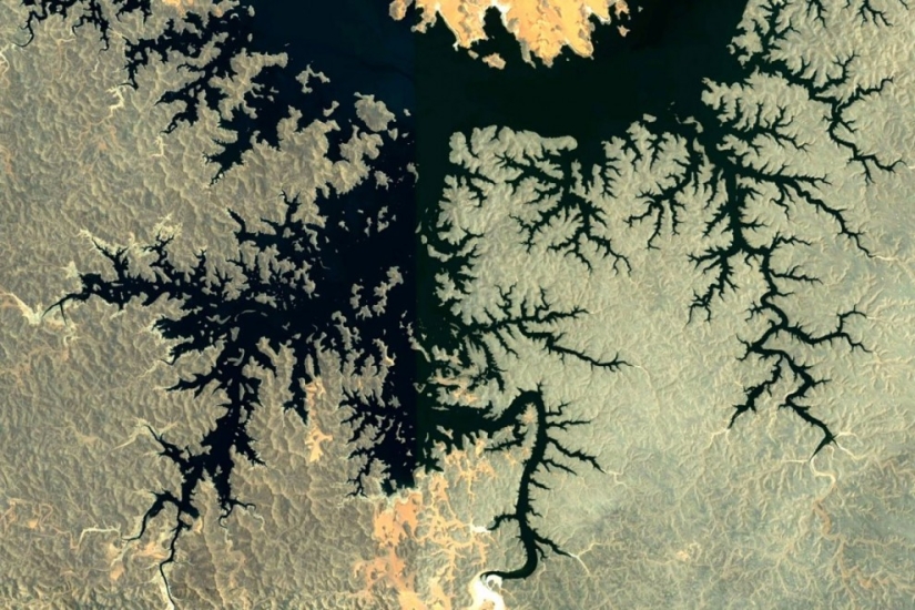 Fractal patterns on the surface of the Earth