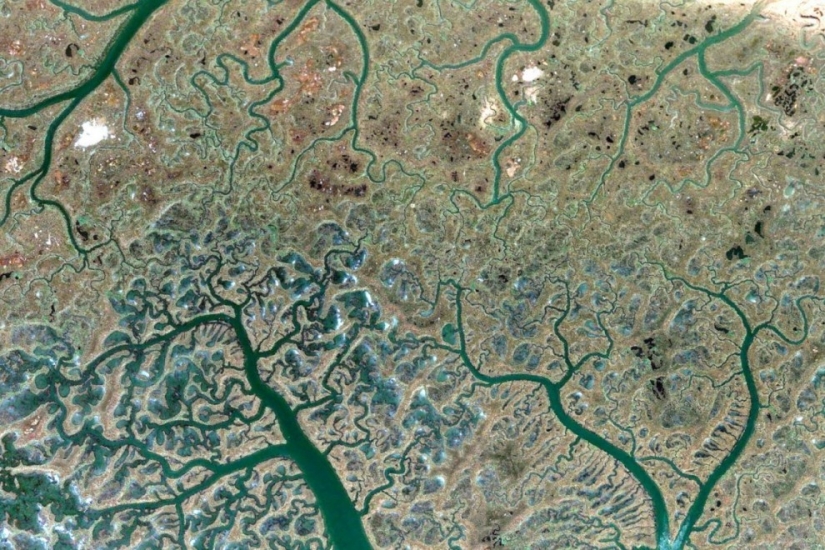 Fractal patterns on the surface of the Earth