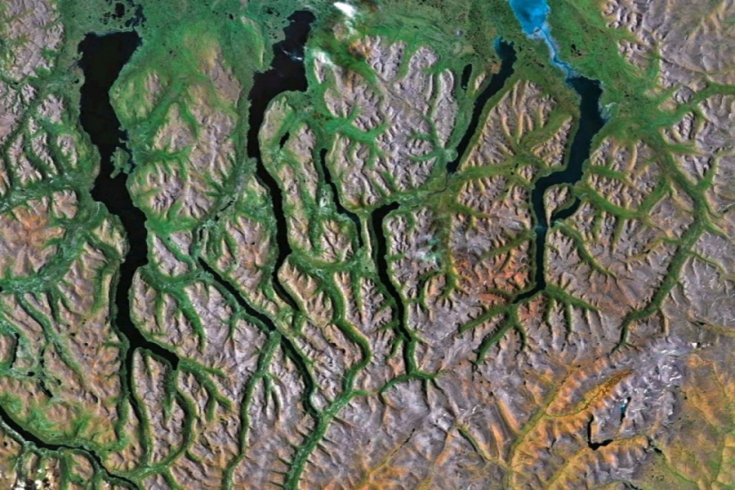 Fractal patterns on the surface of the Earth