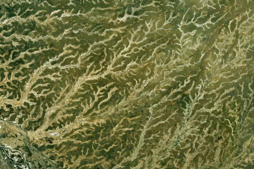 Fractal patterns on the surface of the Earth