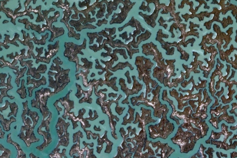 Fractal patterns on the surface of the Earth