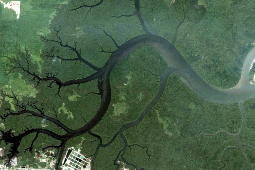 Fractal patterns on the surface of the Earth