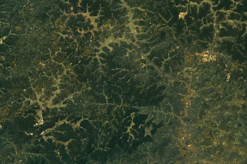 Fractal patterns on the surface of the Earth