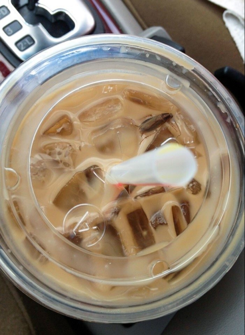 Frightening catering: 33 trashy moments from cafes and restaurants Frightening catering: 33 trashy moments from cafes and restaurants