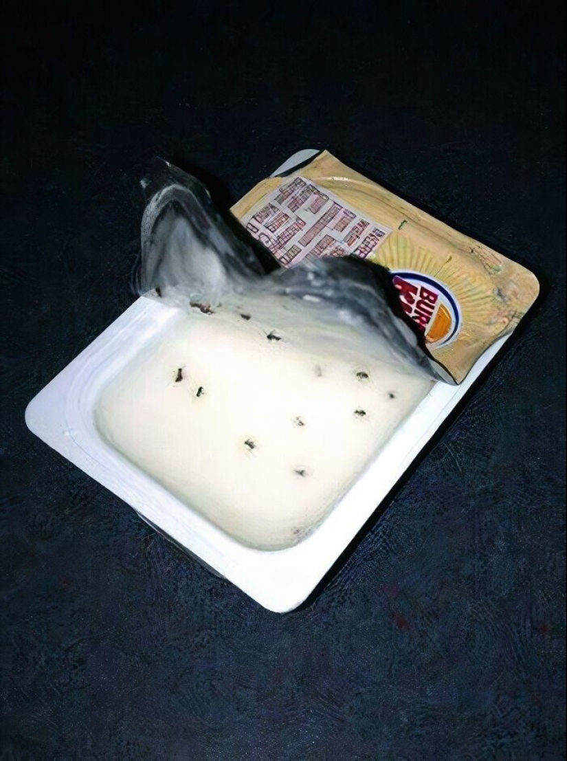 Frightening catering: 33 trashy moments from cafes and restaurants Frightening catering: 33 trashy moments from cafes and restaurants
