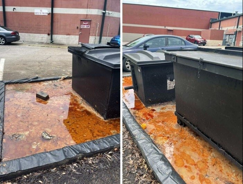Frightening catering: 33 trashy moments from cafes and restaurants Frightening catering: 33 trashy moments from cafes and restaurants