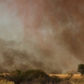 Frightening wonders of nature: What a fire tornado looks like Frightening wonders of nature: What a fire tornado looks like