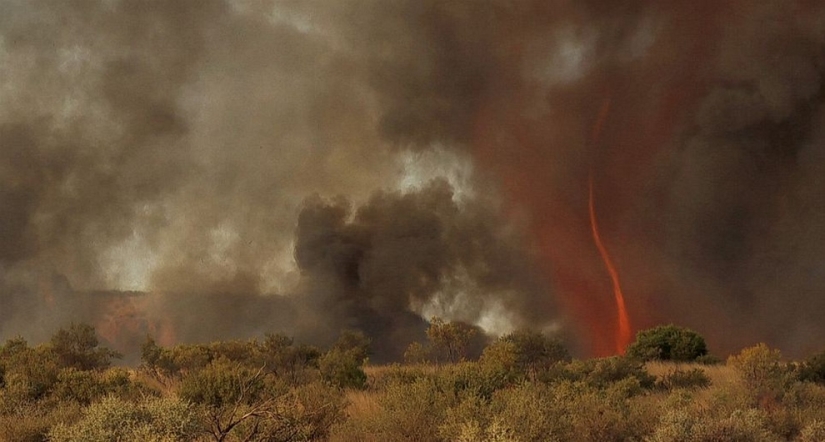 Frightening wonders of nature: What a fire tornado looks like Frightening wonders of nature: What a fire tornado looks like