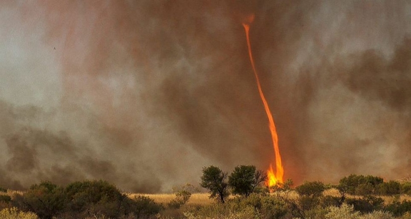 Frightening wonders of nature: What a fire tornado looks like Frightening wonders of nature: What a fire tornado looks like